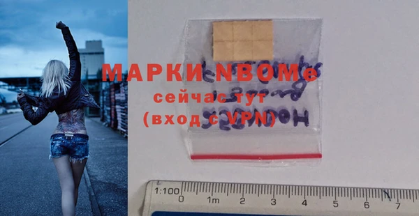 соль ск Каменка